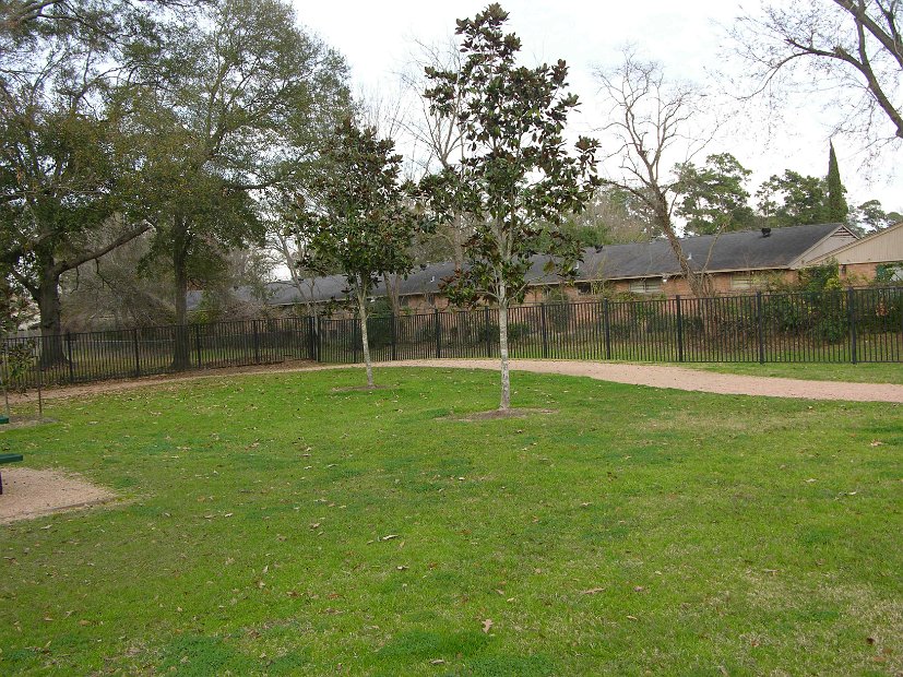Glenmore Forest park 8000 Wingo Houston, Texas 77055 (19)